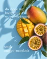 02-aluna-structure-galeria.webp