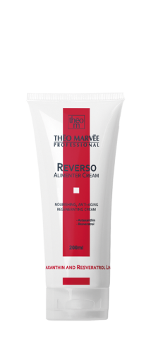 THEO_REVERSO_ALIMENTER_200.png